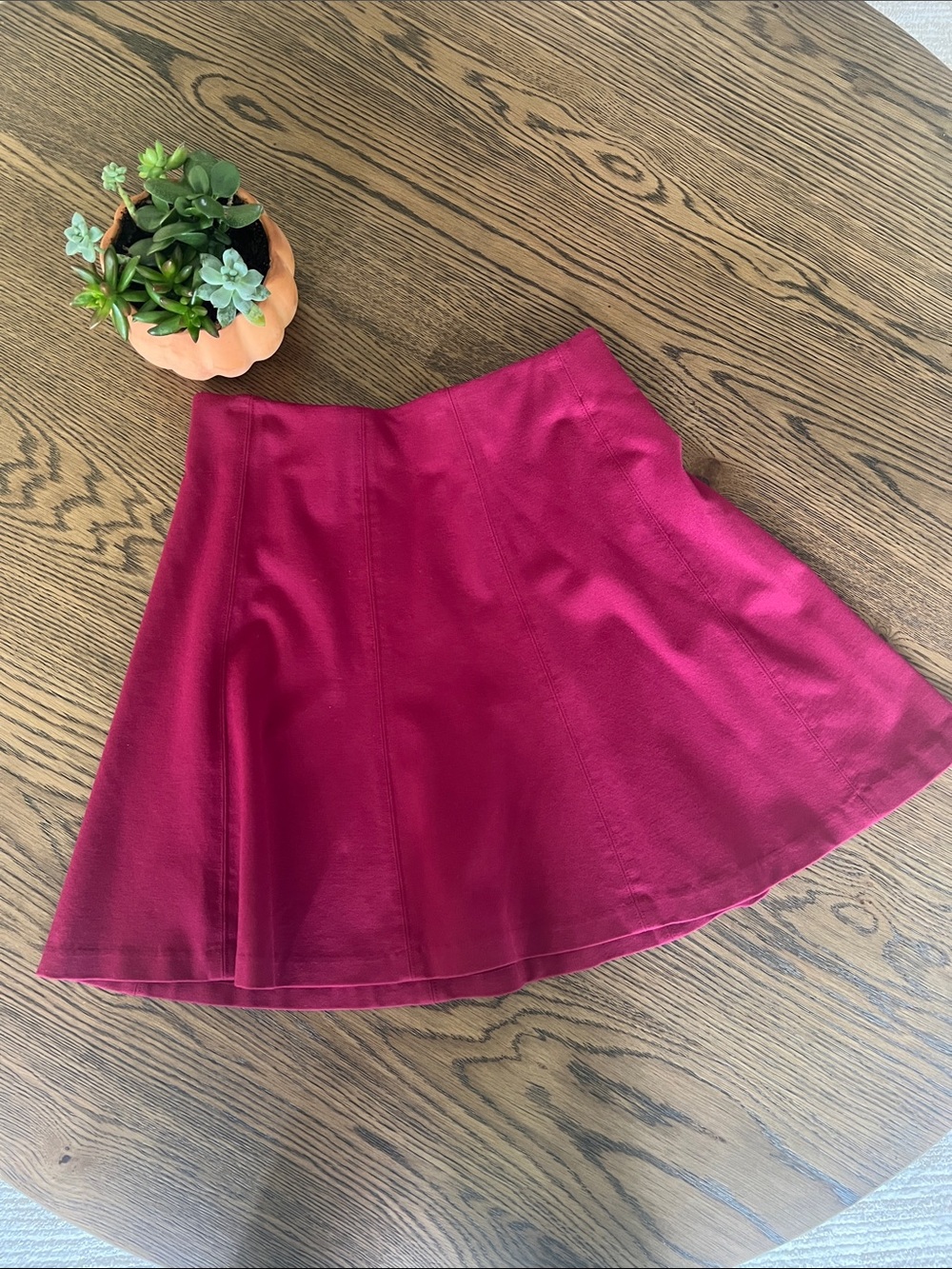 LOFT Flare Skirt